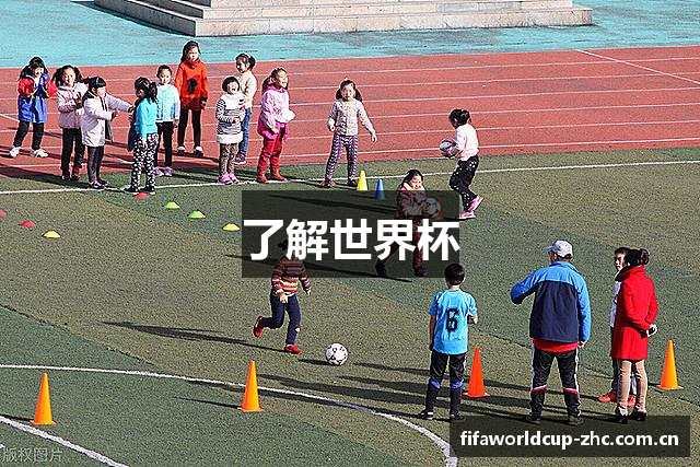 了解世界杯
